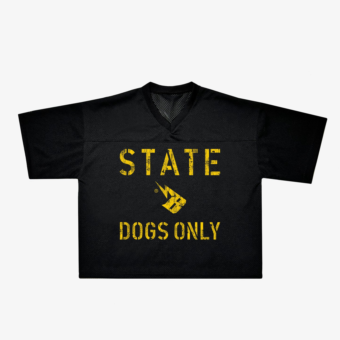 'B Strike Dogs Only' Practice Jersey c.2024