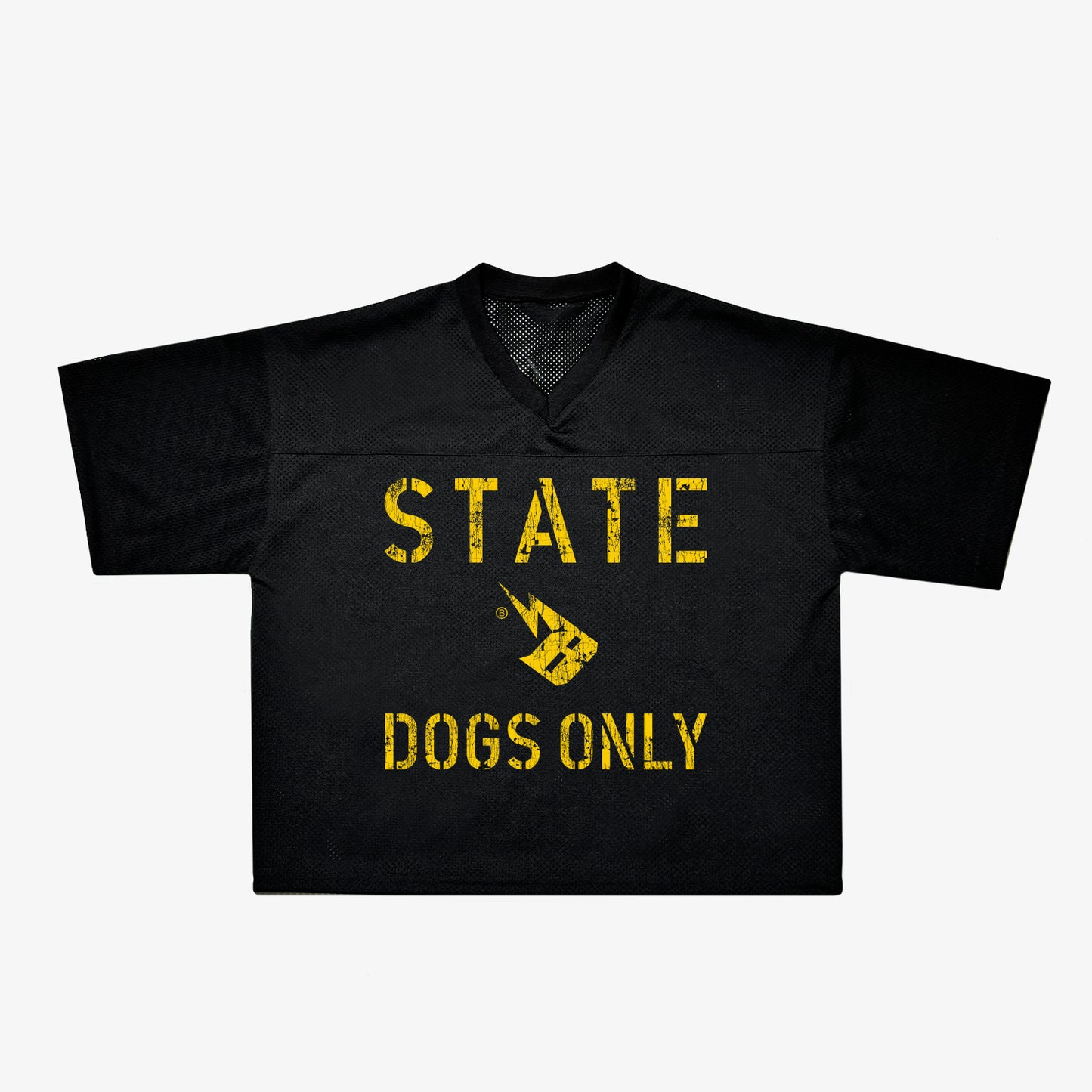 Dogs Only Practice Jersey